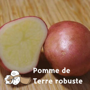 Variete robuste DELILA