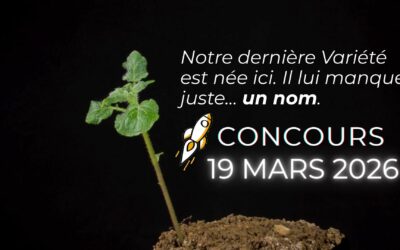 Et si vous nommiez notre nouvelle variété de pomme de terre ?