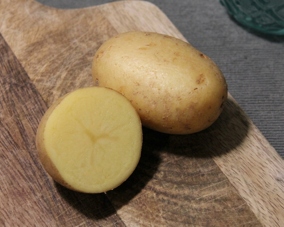 Plants de pomme de terre bio Lady Jane , pour chips et frites